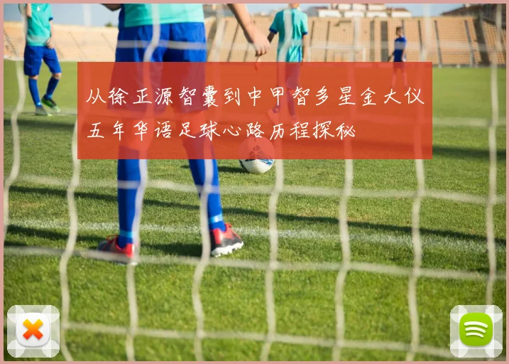 从徐正源智囊到中甲智多星金大仪五年华语足球心路历程探秘