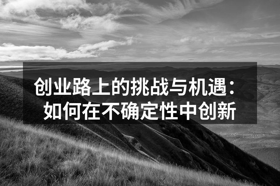 创业路上的挑战与机遇：如何在不确定性中创新