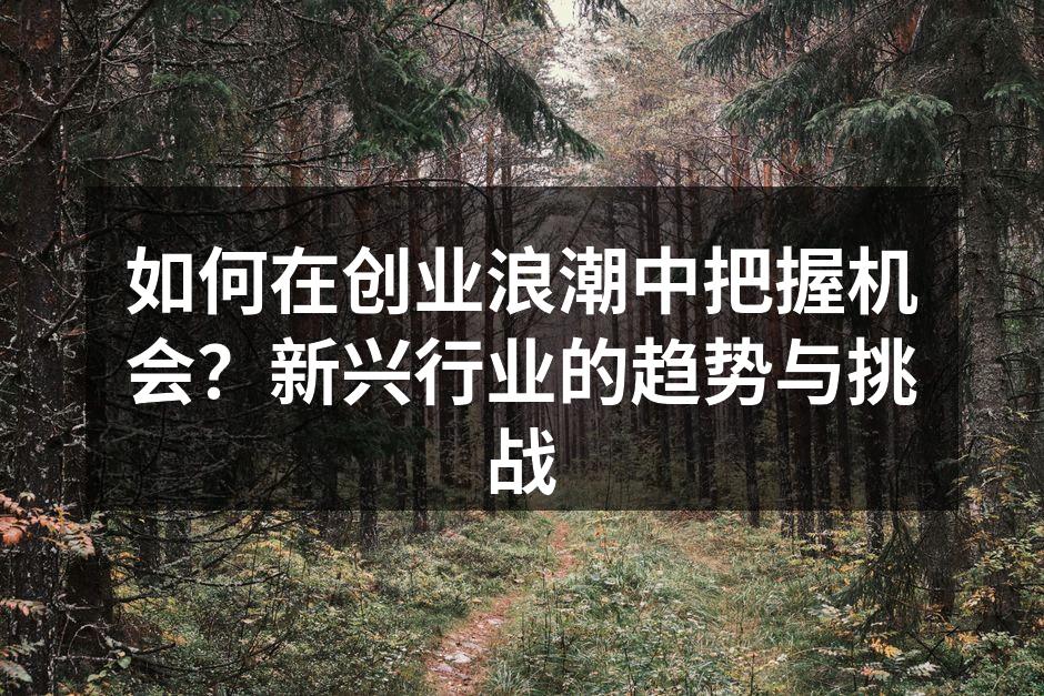 如何在创业浪潮中把握机会？新兴行业的趋势与挑战