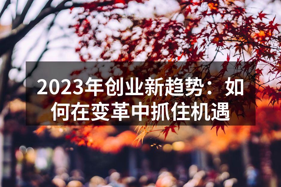 2023年创业新趋势：如何在变革中抓住机遇