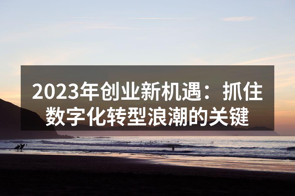 2023年创业新机遇：抓住数字化转型浪潮的关键